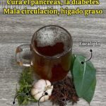 Cura el Páncreas y Más: Beneficios de un Té Natural con Eucalipto, Ajo y Más