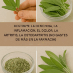 Un milagro natural para la salud cerebral, la inflamación y el dolor articular