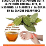 La llaman la bendición de Dios: quita la presión alta, la diabetes, la grasa en tu sangre y el insomnio
