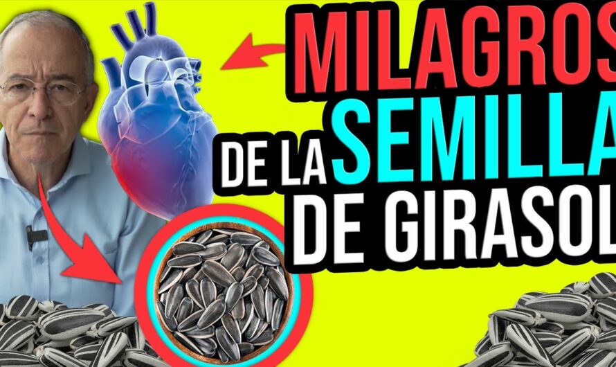 ATENCIÓN: Esto Sucede Cuando Comes Semillas de Girasol