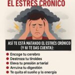 El estrés crónico y cómo curarlo