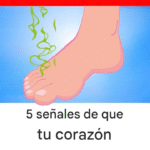 5 Señales de que tu Corazón Está en Grave Peligro y Cómo Detectarlas a Tiempo