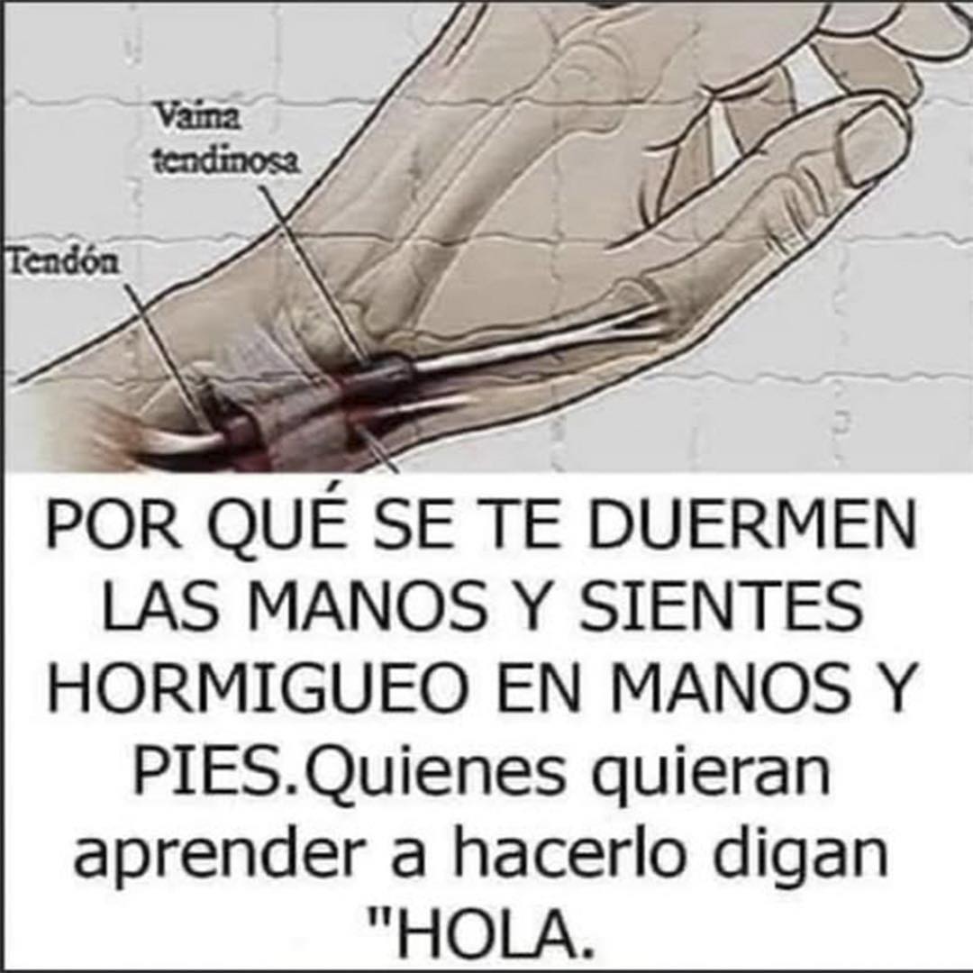 Dibujo de una mano con vaina tendinosa y tendón