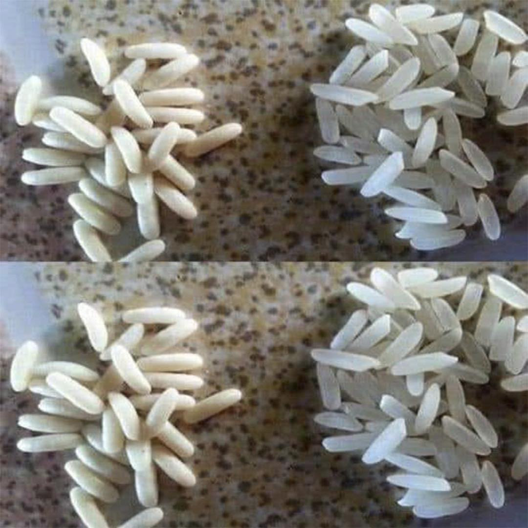 Comparación entre arroz real y plástico