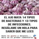 Ajo y Clavo: Dos Tesoros para la Salud