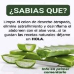 Los Maravillosos Beneficios del Aloe Vera para la Salud Digestiva