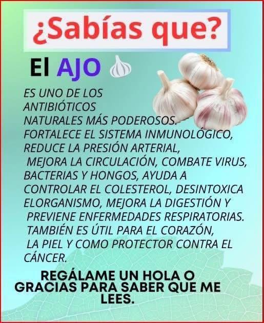 Beneficios del ajo