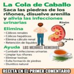 Cola de Caballo: La Planta Milagrosa para la Salud Renal