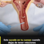 ¿Qué Ocurre en el Cuerpo al Dejar de Tener Relaciones Íntimas?