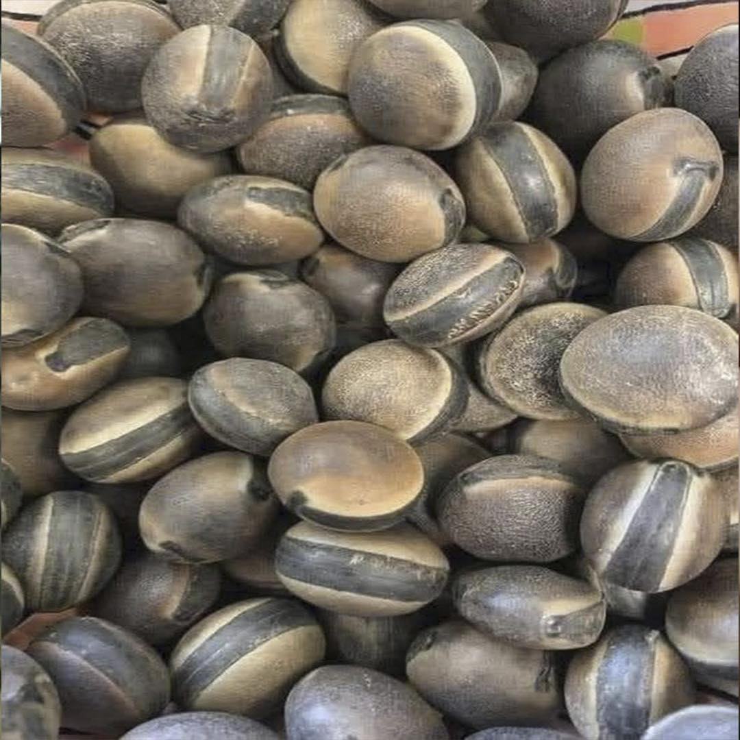 Semillas de Jojoba