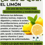 Los Asombrosos Beneficios del Limón: Un Fruto Refrescante que Protege tu Salud