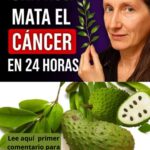 Guanábana: La Hoja Que Podría Transformar Tu Salud