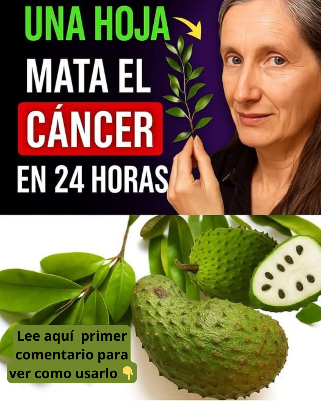 Hojas de Guanábana