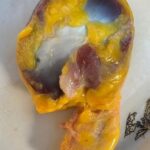 Molleja de Pollo: Beneficios y Recetas Deliciosas para Tu Salud