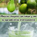Descubre los Poderes Nutricionales de la Mezcla de Chayote y Limón