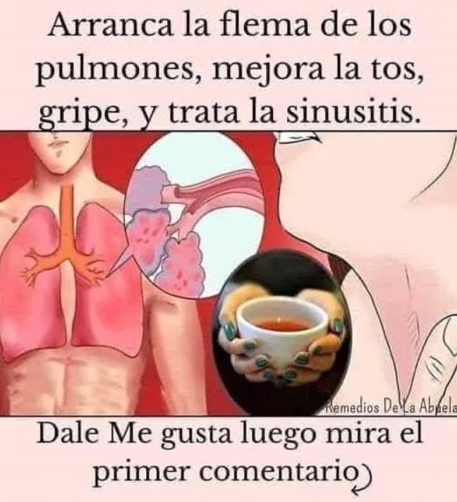 Remedios naturales para la tos y flema