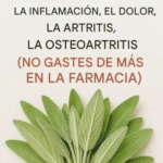 Salvia: El Remedio Natural que No Debes Ignorar
