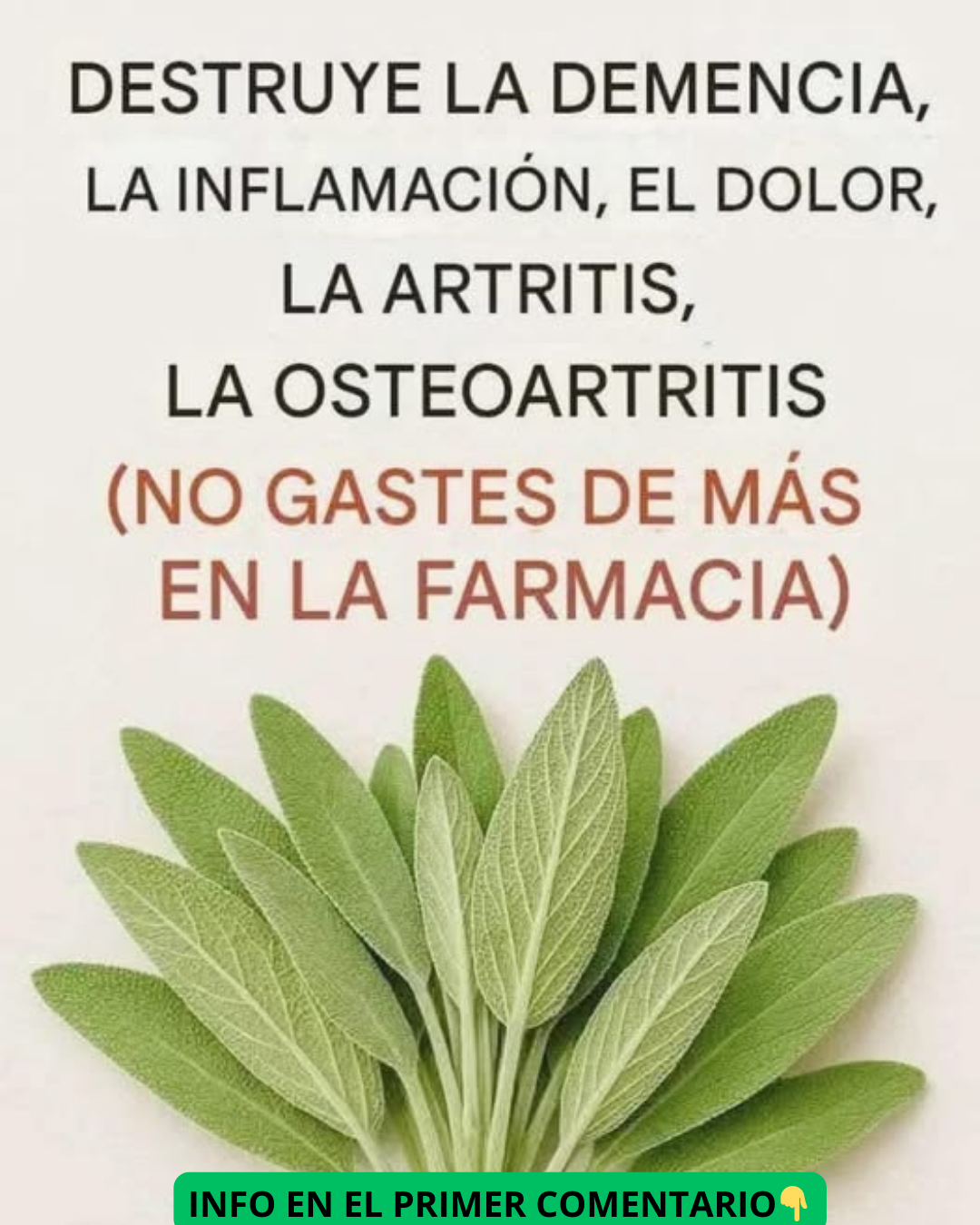 Beneficios de la Salvia