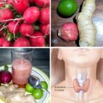 Rábanos, Jengibre y Miel: Remedios Naturales para la Tiroides y la Vesícula
