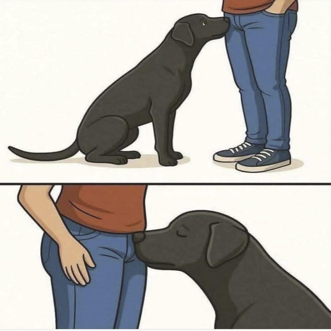 Perro olfateando a su dueño