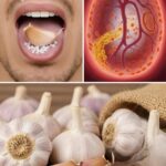 Los Asombrosos Beneficios de Comer Ajo Crudo Diariamente
