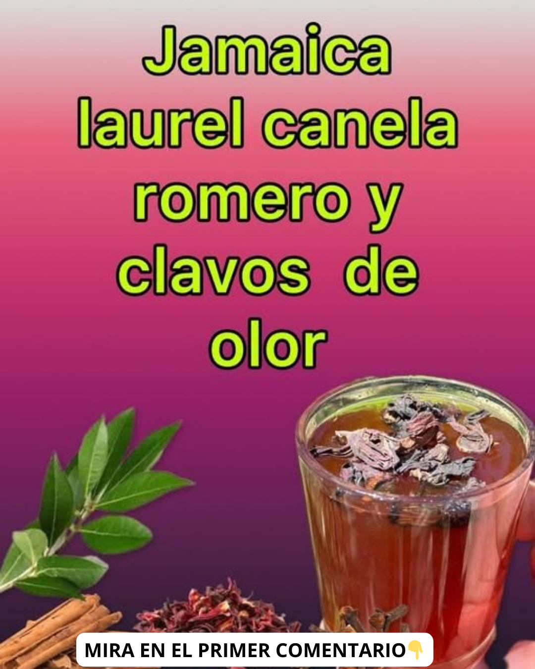 Infusión de Jamaica, Laurel, Canela, Romero y Clavos de Olor