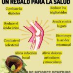 Beneficios del Té de Laurel en Ayunas: Un Regalo para tu Salud