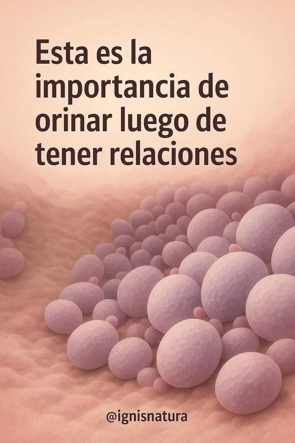 Importancia de orinar después de tener relaciones