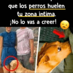 ¿Por qué los perros huelen tu zona íntima? La sorprendente verdad