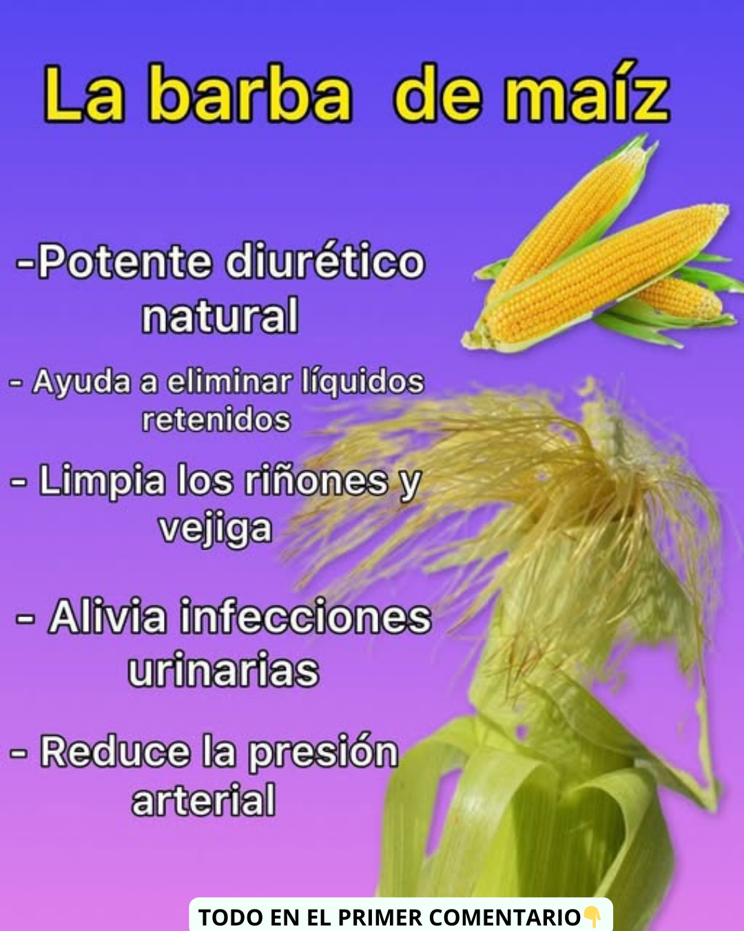 Beneficios de la Barba de Maíz