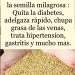 La Semilla Milagrosa: Beneficios, Mitos y Realidades