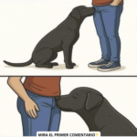 El Fascinante Mundo del Olfato Canino: ¿Qué Significa Cuando un Perro Te Huele?