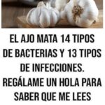 El Ajo: Propiedades y Beneficios para la Salud