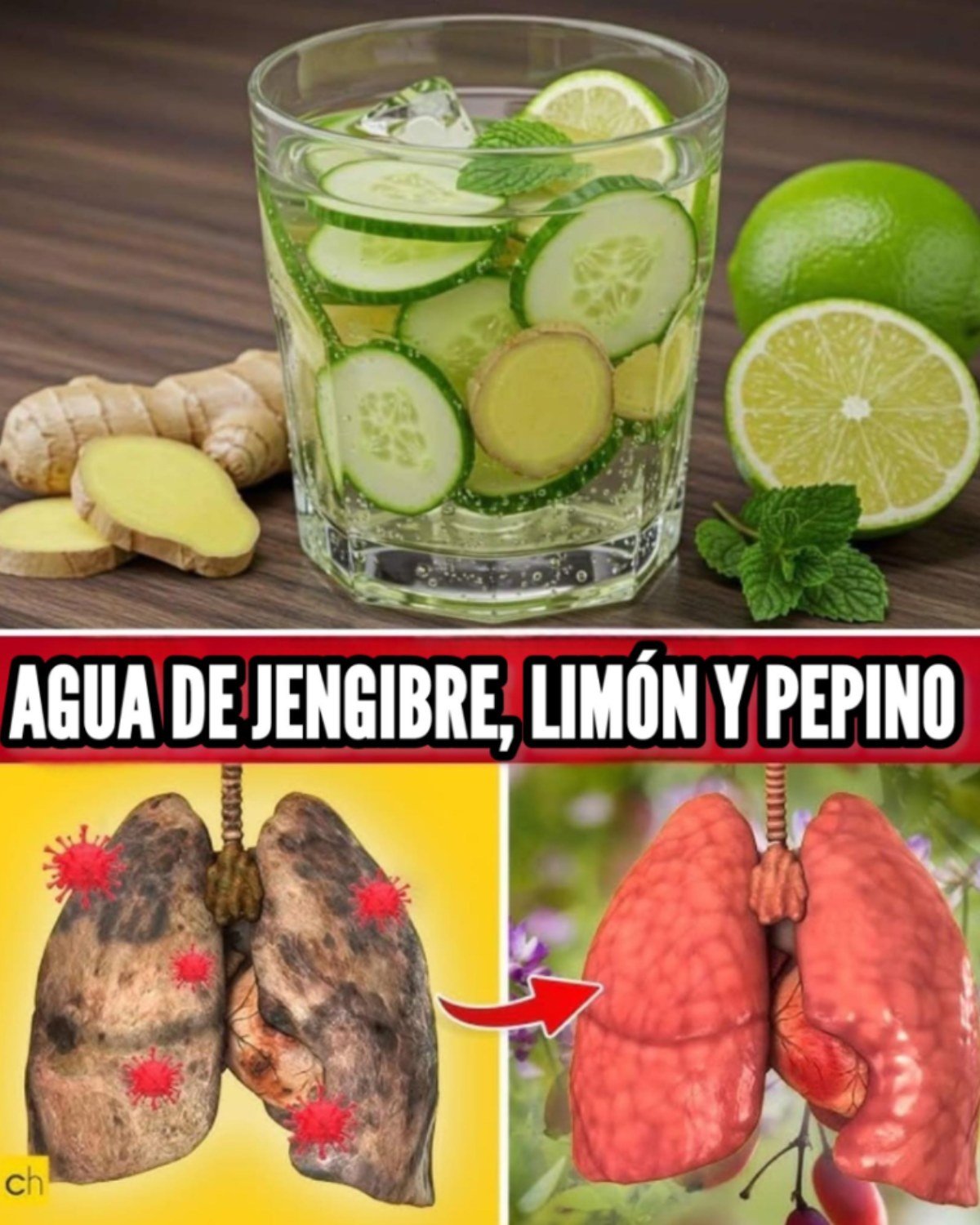 Agua de Jengibre, Limón y Pepino