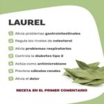Beneficios del Té de Hojas de Laurel: Un Remedio Natural para Tu Salud