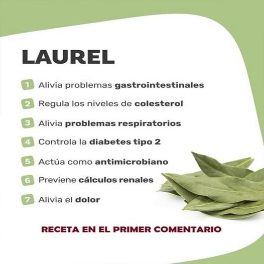 Beneficios del Té de Laurel