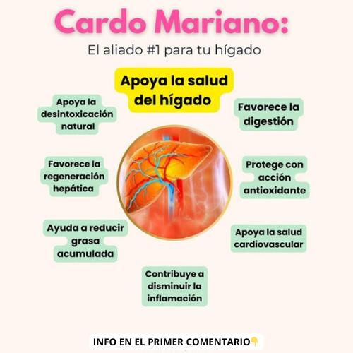 Beneficios del Cardo Mariano