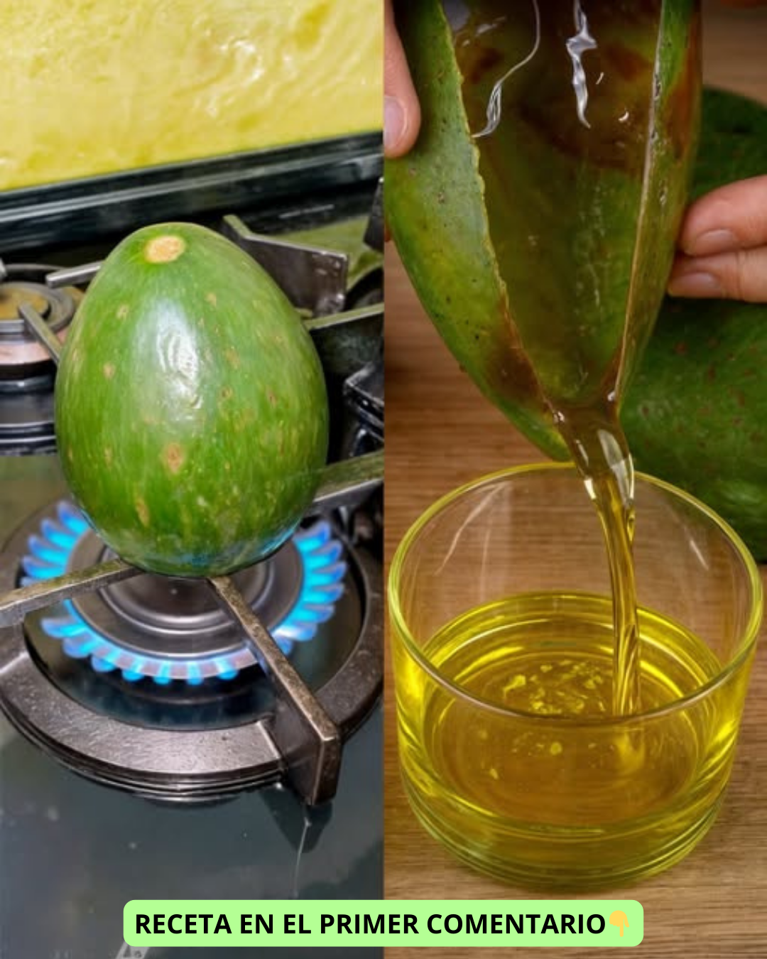 Proceso de extracción de aceite de aguacate
