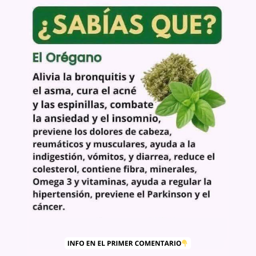 Beneficios del Orégano