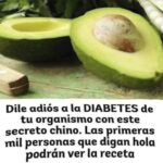 Los Sorprendentes Beneficios del Aguacate para tu Salud
