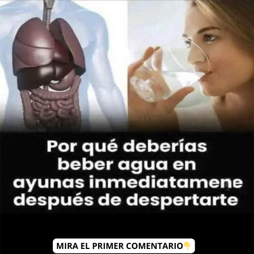 Sistema Digestivo y Persona Bebiendo Agua en Ayunas