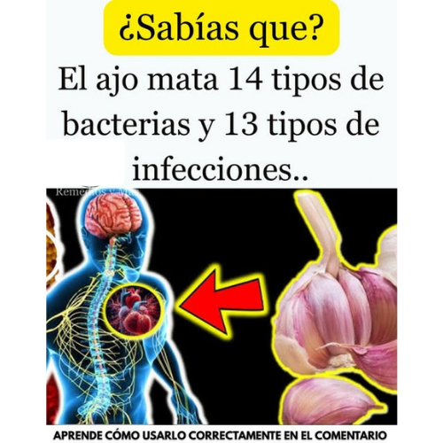 Beneficios del Ajo