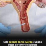 ¿Qué Ocurre en Tu Cuerpo al Dejar de Tener Relaciones Íntimas?