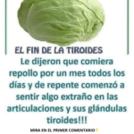 Los Beneficios y Precauciones del Consumo de Repollo