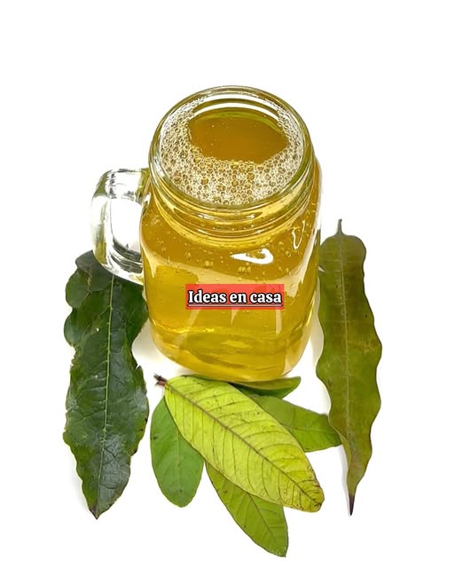 Infusión de hojas recomendadas por el Dr. Frank Suárez