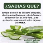 Las Maravillas de la Sábila: Beneficios del Aloe Vera para la Salud Digestiva