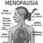 Consejos para una Menopausia Feliz: Cómo Navegar Esta Etapa de la Vida