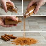 El Poder de la Canela: Un Truco que Transformará tu Hogar