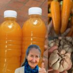 Descubre el Poder de este Batido Natural para Limpiar tu Sangre y Reducir el Colesterol