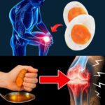 18 Alimentos Naturales que Ayudan a Regenerar el Cartílago Articular